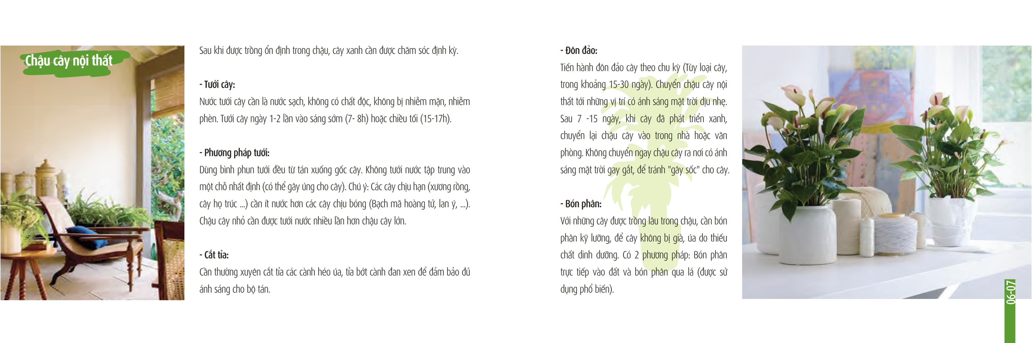 SO TAY BAO DUONG CHAM SOC CAY XANH 001