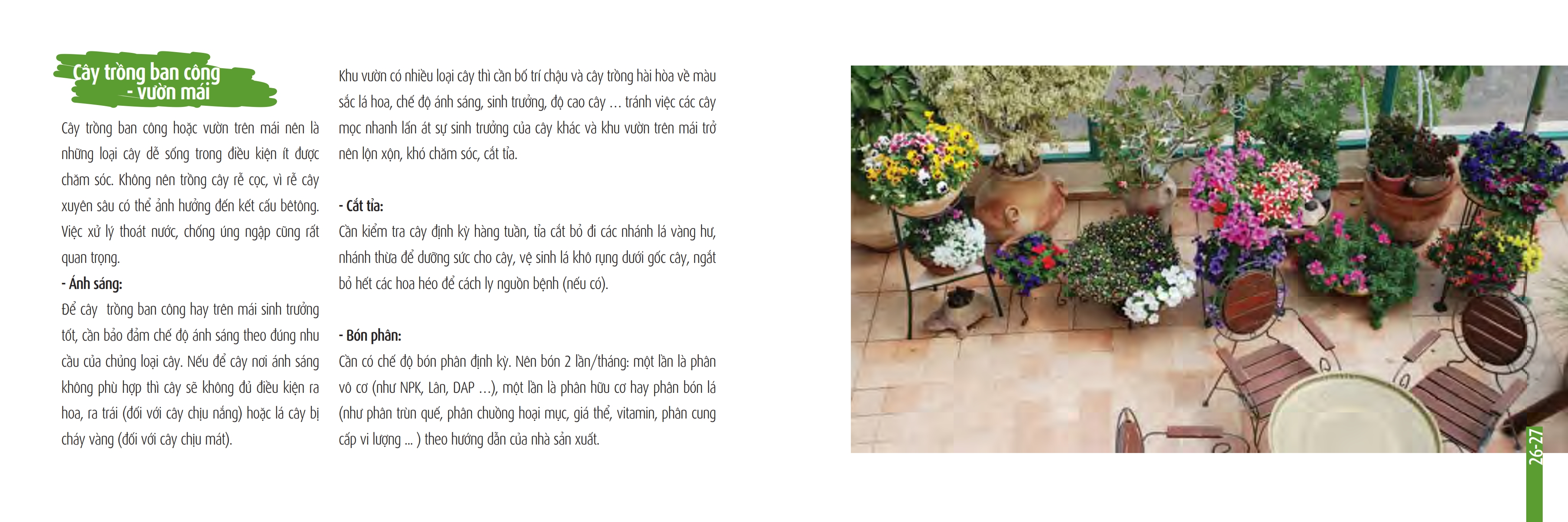 SO TAY BAO DUONG CHAM SOC CAY XANH 001